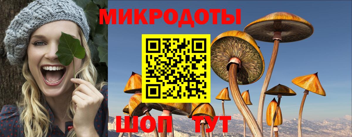 Псилоцибиновые грибы мицелий Вышний Волочёк