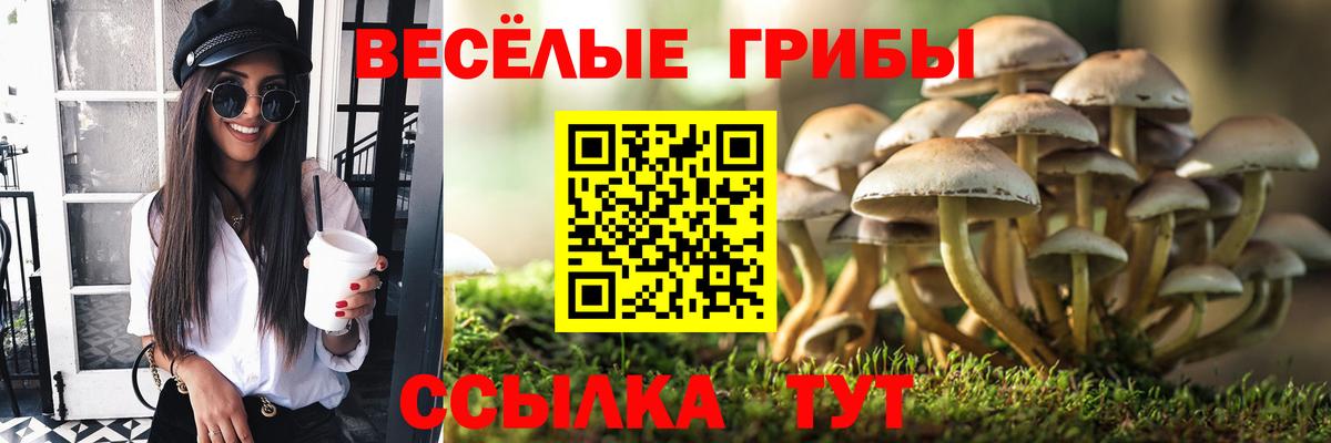 Галлюциногенные грибы мухоморы  Галлюциногенные грибы MAGIC MUSHROOMS  Вышний Волочёк  Вход с VPN 