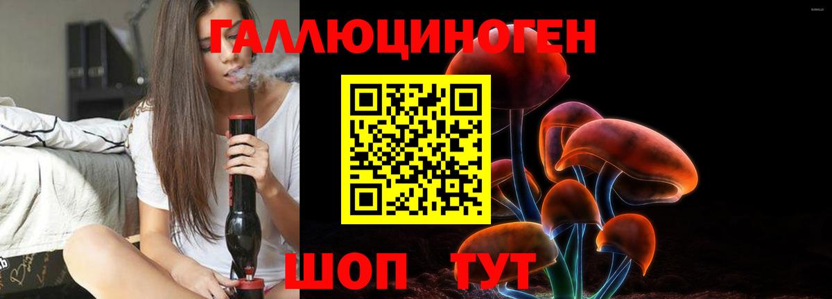 Псилоцибиновые грибы прущие грибы  Вышний Волочёк 