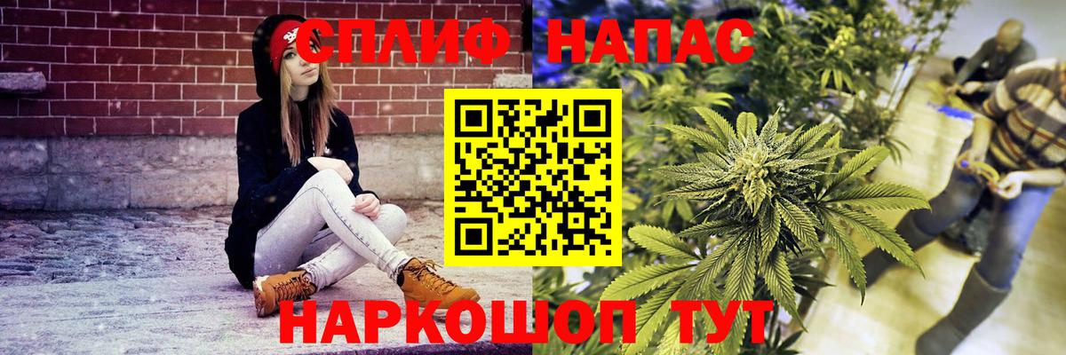 Бошки Шишки тримм  Конопля сатива  Вышний Волочёк  Канабис сатива  Вход с VPN 